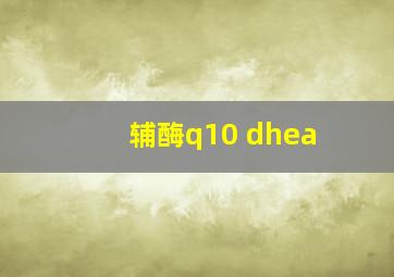 辅酶q10 dhea